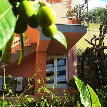 Delle Rose 4* Cefalù