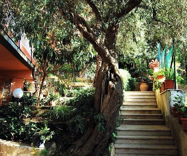 Готель типу 