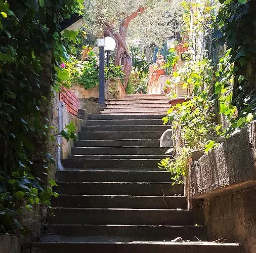 Delle Rose Готель типу 