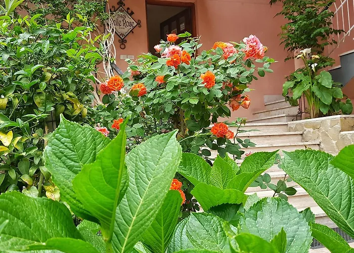 Delle Rose Готель типу 