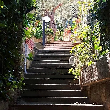 Delle Rose 4* Cefalù