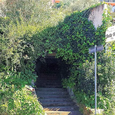 Delle Rose