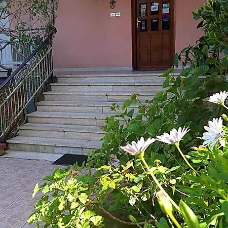 Delle Rose