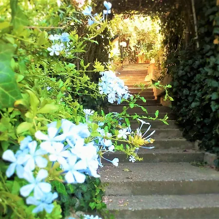 Delle Rose Bed & Breakfast *