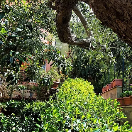 Delle Rose Cefalu
