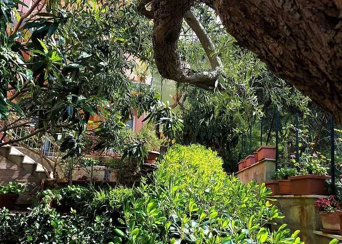 Delle Rose צ'פאלו